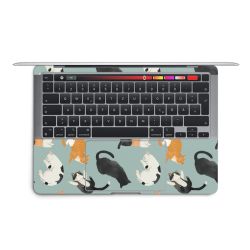 Foils for Laptops matt