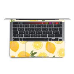 Foils for Laptops matt