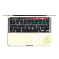 Foils for Laptops matt