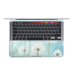 Foils for Laptops matt