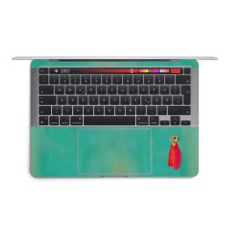 Foils for Laptops matt