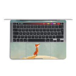 Foils for Laptops matt