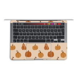 Foils for Laptops matt