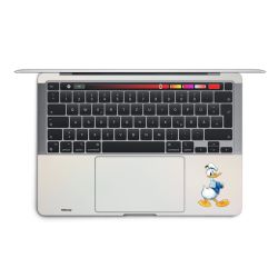 Foils for Laptops matt