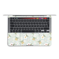 Foils for Laptops matt