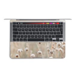 Foils for Laptops matt