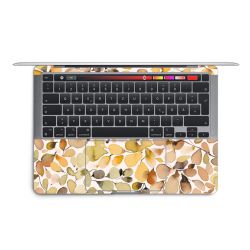 Foils for Laptops matt