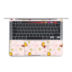 Foils for Laptops matt