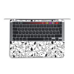 Foils for Laptops matt