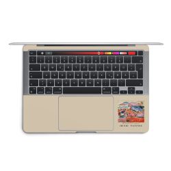 Foils for Laptops matt