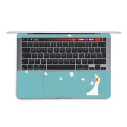 Foils for Laptops matt