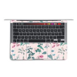 Foils for Laptops matt