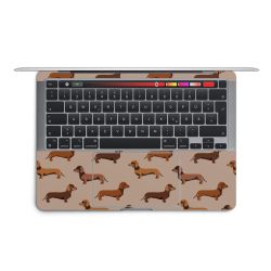 Foils for Laptops matt