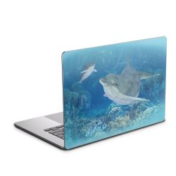 Foils for Laptops glossy