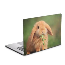 Foils for Laptops glossy