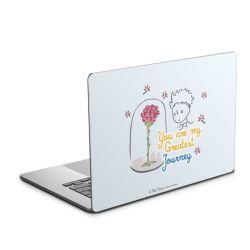 Foils for Laptops glossy