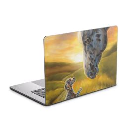 Foils for Laptops glossy