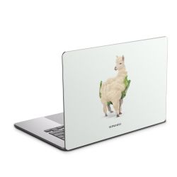 Foils for Laptops glossy