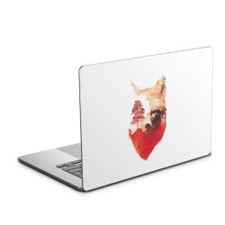 Foils for Laptops glossy