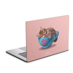 Foils for Laptops matt