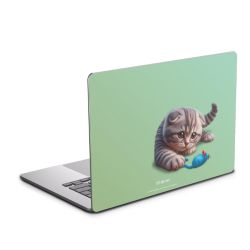 Foils for Laptops matt