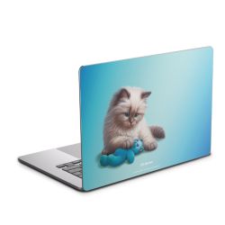 Foils for Laptops matt