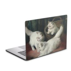 Foils for Laptops matt