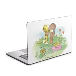 Foils for Laptops matt