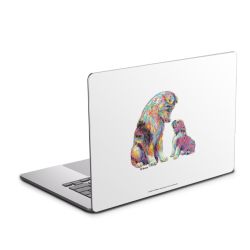 Foils for Laptops matt