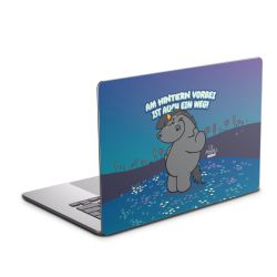 Folien für Laptops matt