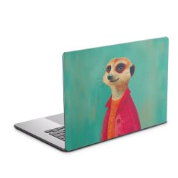 Foils for Laptops matt