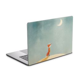 Foils for Laptops matt