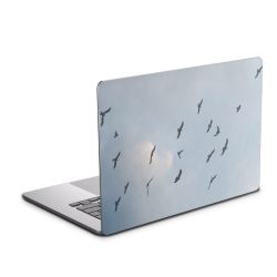 Foils for Laptops matt