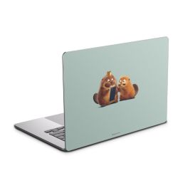 Foils for Laptops matt