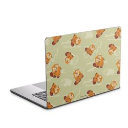 Foils for Laptops matt