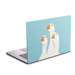 Foils for Laptops matt