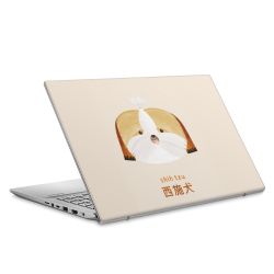 Foils for Laptops matt