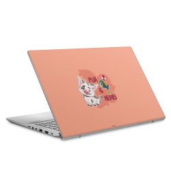 Foils for Laptops matt