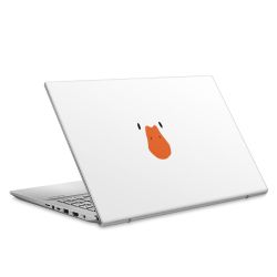 Foils for Laptops matt