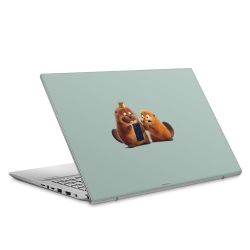 Foils for Laptops matt