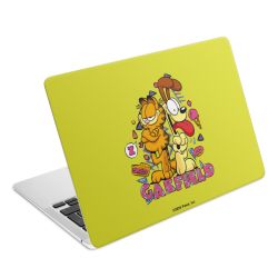 Foils for Laptops matt