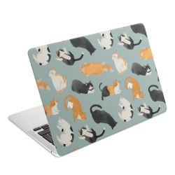 Foils for Laptops matt