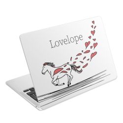 Foils for Laptops matt