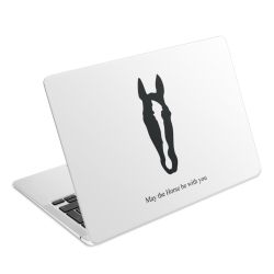 Foils for Laptops matt