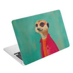 Foils for Laptops matt