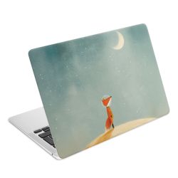 Foils for Laptops matt