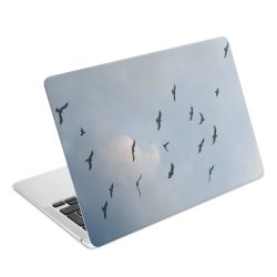 Foils for Laptops matt