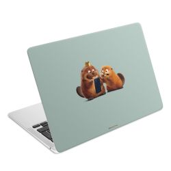 Foils for Laptops matt