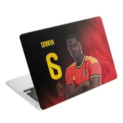 Foils for Laptops matt