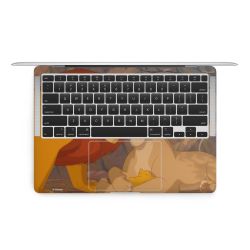 Foils for Laptops matt